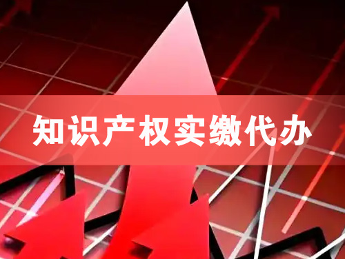 泰州知识产权实缴资本代办